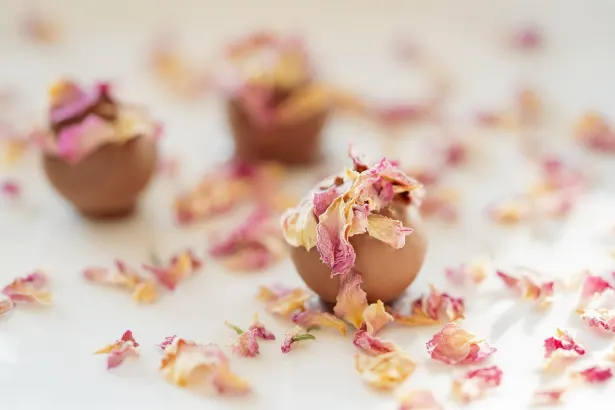 Fever Slots Casino Application Android/iOS